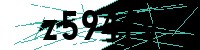 Security verification captcha