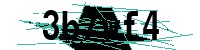 Security verification captcha