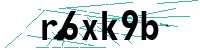 Security verification captcha