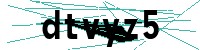 Security verification captcha