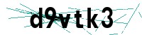 Security verification captcha