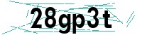 Security verification captcha
