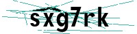 Security verification captcha
