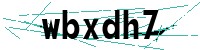 Security verification captcha