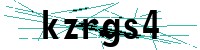 Security verification captcha