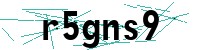 Security verification captcha