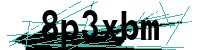 Security verification captcha