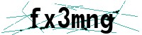 Security verification captcha