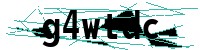 Security verification captcha