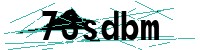 Security verification captcha