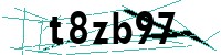 Security verification captcha