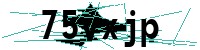 Security verification captcha