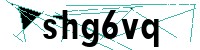 Security verification captcha