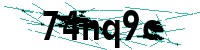 Security verification captcha