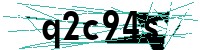 Security verification captcha