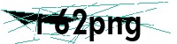 Security verification captcha