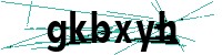Security verification captcha