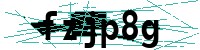 Security verification captcha