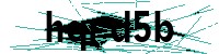 Security verification captcha