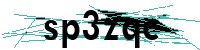 Security verification captcha