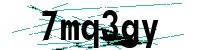 Security verification captcha