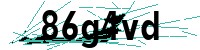 Security verification captcha
