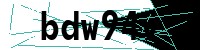 Security verification captcha