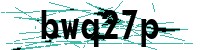 Security verification captcha