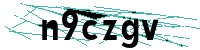 Security verification captcha