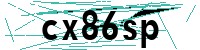 Security verification captcha