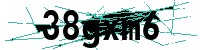 Security verification captcha