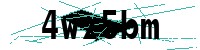 Security verification captcha