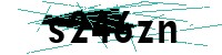 Security verification captcha