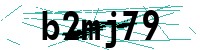 Security verification captcha