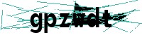Security verification captcha
