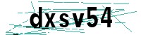 Security verification captcha