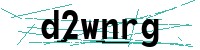 Security verification captcha