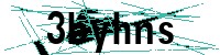 Security verification captcha