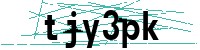 Security verification captcha
