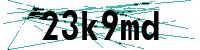 Security verification captcha
