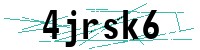 Security verification captcha