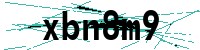 Security verification captcha