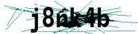 Security verification captcha