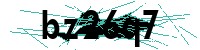 Security verification captcha