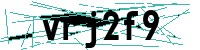 Security verification captcha