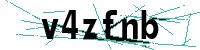Security verification captcha
