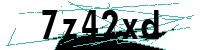 Security verification captcha