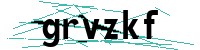 Security verification captcha