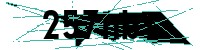 Security verification captcha
