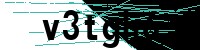 Security verification captcha
